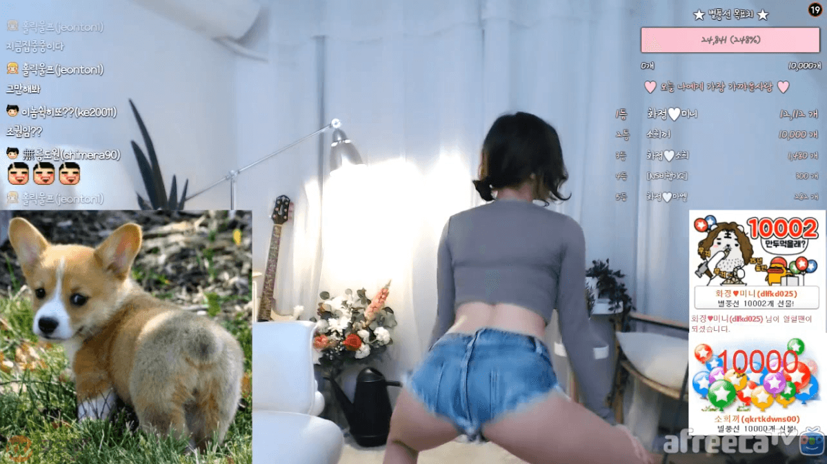 韩国主播「BJ花井」跳舞视频大合集 [164V/16.1G]-性感美女