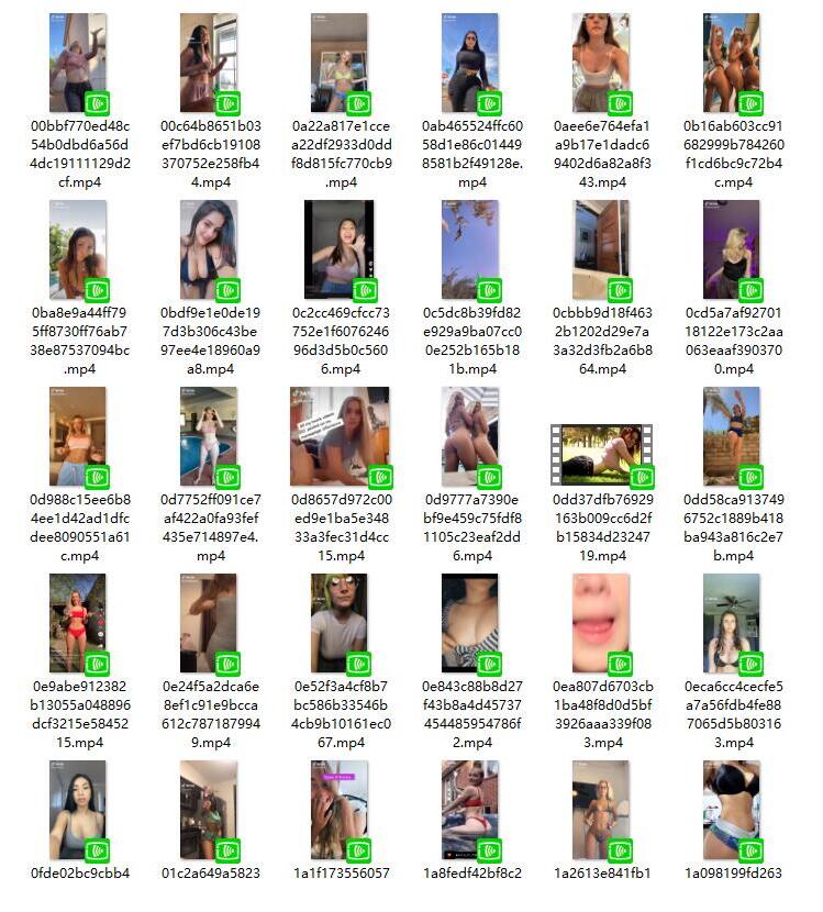 国际版抖音TikTok两千部视频合集[3.05G]-作品推荐