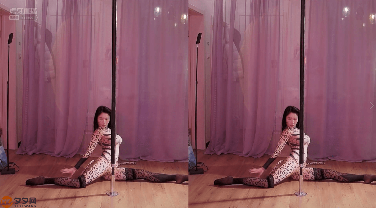 虎牙坏空空COS服装直播跳舞合集[23V/8.16G]-美女推荐