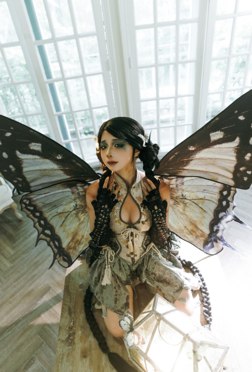 蠢沫沫 枯叶蝶-资源分享