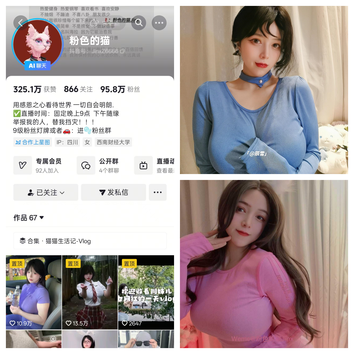 【优质作品】-粉色的猫秘语空间/幻宇星球合集-漫拍社